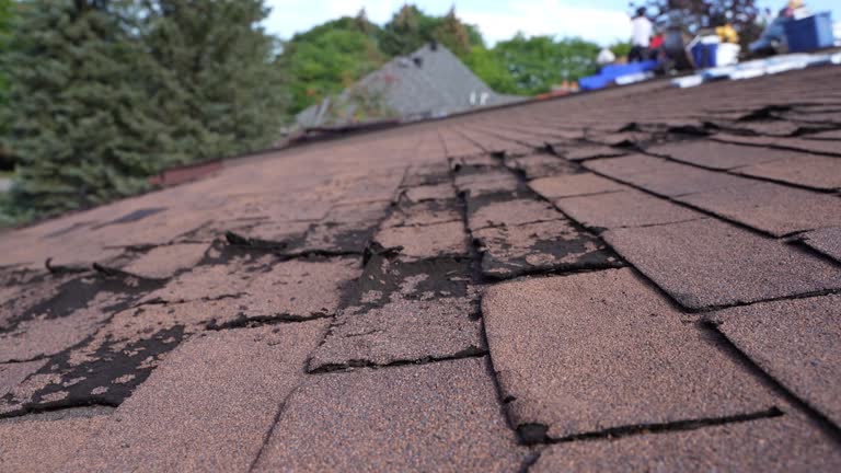 Best Gutter Installation and Repair  in Bellbrook, OH